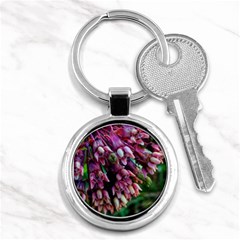 Milkweed Key Chains (round)  by okhismakingart