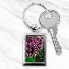 Milkweed Key Chains (rectangle)  by okhismakingart