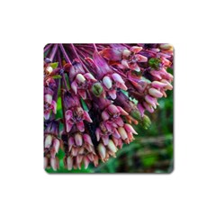 Milkweed Square Magnet by okhismakingart