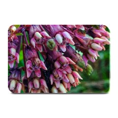 Milkweed Plate Mats by okhismakingart