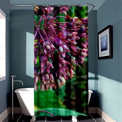 Milkweed Shower Curtain 36  X 72  (stall)  by okhismakingart