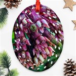 Milkweed Oval Filigree Ornament (Two Sides) Front