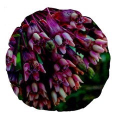 Milkweed Large 18  Premium Round Cushions by okhismakingart