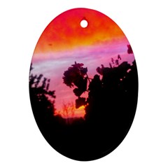 Sunset And Geraniums Ornament (oval) by okhismakingart