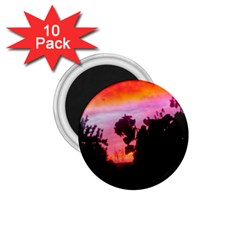 Sunset And Geraniums 1 75  Magnets (10 Pack)  by okhismakingart