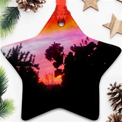 Sunset And Geraniums Star Ornament (two Sides) by okhismakingart