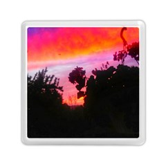 Sunset And Geraniums Memory Card Reader (square) by okhismakingart