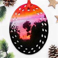 Sunset And Geraniums Oval Filigree Ornament (two Sides) by okhismakingart