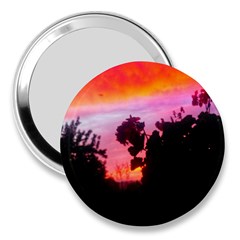 Sunset And Geraniums 3  Handbag Mirrors by okhismakingart