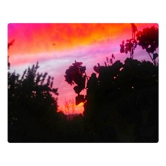 Sunset And Geraniums Double Sided Flano Blanket (large)  by okhismakingart