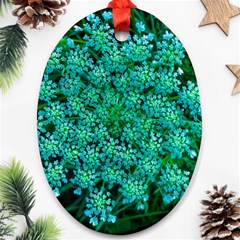 Turquoise Queen Anne s Lace Ornament (oval) by okhismakingart