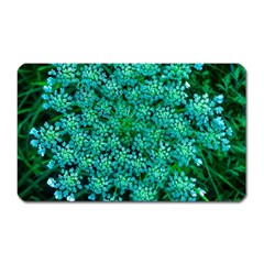 Turquoise Queen Anne s Lace Magnet (rectangular) by okhismakingart