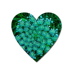 Turquoise Queen Anne s Lace Heart Magnet by okhismakingart