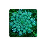 Turquoise Queen Anne s Lace Square Magnet Front