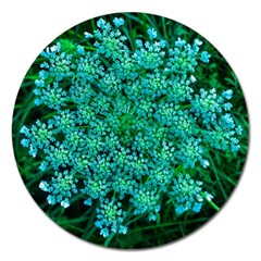 Turquoise Queen Anne s Lace Magnet 5  (round) by okhismakingart