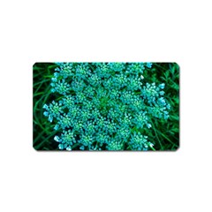 Turquoise Queen Anne s Lace Magnet (name Card) by okhismakingart