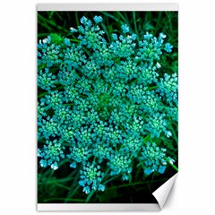 Turquoise Queen Anne s Lace Canvas 12  X 18  by okhismakingart