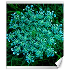 Turquoise Queen Anne s Lace Canvas 20  X 24  by okhismakingart