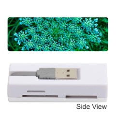 Turquoise Queen Anne s Lace Memory Card Reader (stick) by okhismakingart