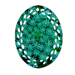 Turquoise Queen Anne s Lace Ornament (oval Filigree) by okhismakingart