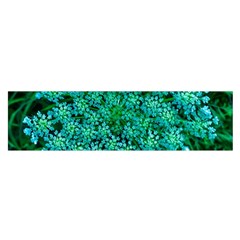 Turquoise Queen Anne s Lace Satin Scarf (oblong) by okhismakingart