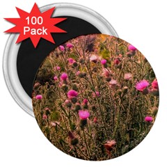 Thistle Field 3  Magnets (100 Pack) by okhismakingart