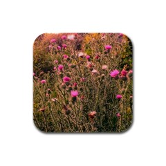 Thistle Field Rubber Square Coaster (4 Pack)  by okhismakingart