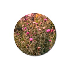 Thistle Field Magnet 3  (round) by okhismakingart