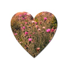 Thistle Field Heart Magnet by okhismakingart