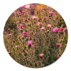 Thistle Field Magnet 5  (round) by okhismakingart