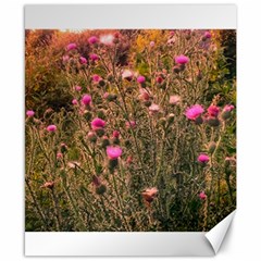 Thistle Field Canvas 8  X 10  by okhismakingart