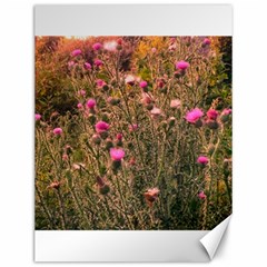 Thistle Field Canvas 12  X 16  by okhismakingart