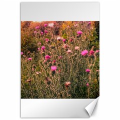 Thistle Field Canvas 12  X 18  by okhismakingart