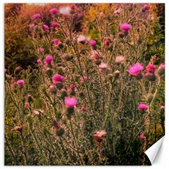 Thistle Field Canvas 16  X 16  by okhismakingart