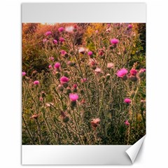 Thistle Field Canvas 18  X 24  by okhismakingart