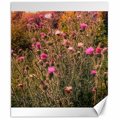 Thistle Field Canvas 20  X 24  by okhismakingart