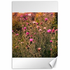 Thistle Field Canvas 20  X 30  by okhismakingart