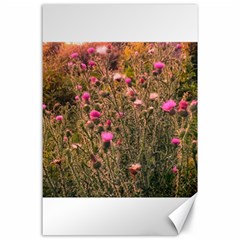 Thistle Field Canvas 24  X 36  by okhismakingart