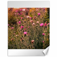 Thistle Field Canvas 36  X 48  by okhismakingart