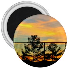 Fence Line Trees 3  Magnets by okhismakingart