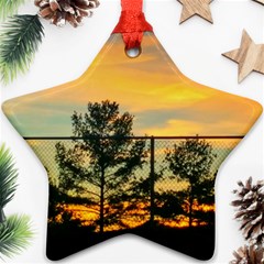 Fence Line Trees Ornament (star) by okhismakingart