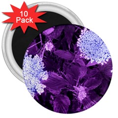 Queen Anne s Lace With Purple Leaves 3  Magnets (10 Pack)  by okhismakingart