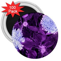 Queen Anne s Lace With Purple Leaves 3  Magnets (100 Pack) by okhismakingart