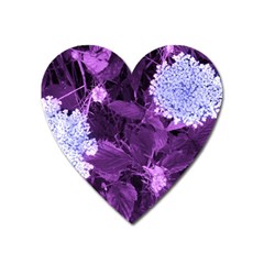 Queen Anne s Lace With Purple Leaves Heart Magnet by okhismakingart