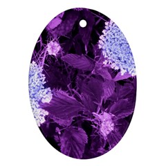 Queen Anne s Lace With Purple Leaves Oval Ornament (two Sides) by okhismakingart