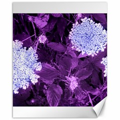 Queen Anne s Lace With Purple Leaves Canvas 16  X 20  by okhismakingart