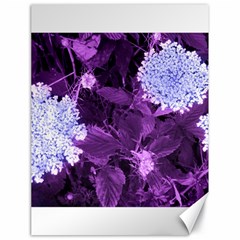 Queen Anne s Lace With Purple Leaves Canvas 18  X 24  by okhismakingart