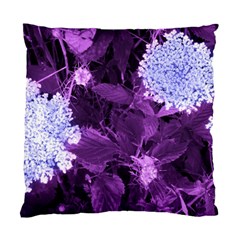 Queen Anne s Lace With Purple Leaves Standard Cushion Case (two Sides) by okhismakingart