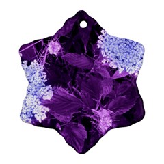 Queen Anne s Lace With Purple Leaves Snowflake Ornament (two Sides) by okhismakingart