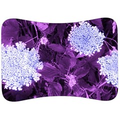 Queen Anne s Lace With Purple Leaves Velour Seat Head Rest Cushion by okhismakingart